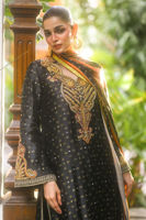 Picture of Nareen (Shirt and Dupatta)